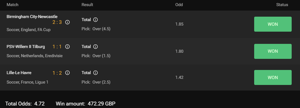 New 4 in 1 Football Prediction Software by 4Football Predictions new-4-in-1-football-prediction-software-won-matches-summary